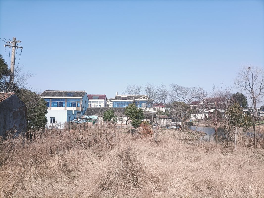 姼ׯ